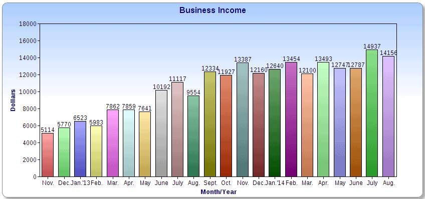 $14,156 in August Business Income