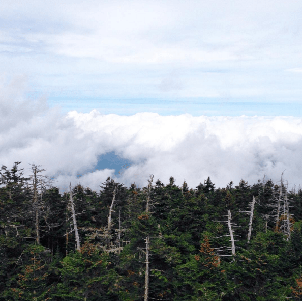 Great Smoky Mountains