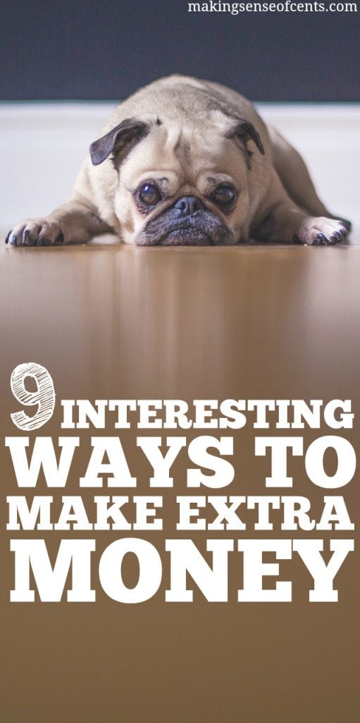 9 Odd and Interesting Ways To Make Extra Income