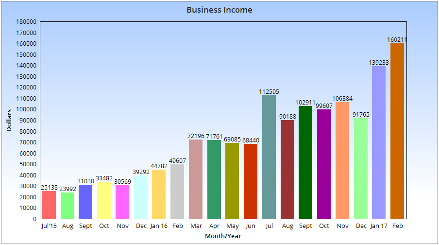 Here is my blogging income chart that displays my income for the past 2 years.