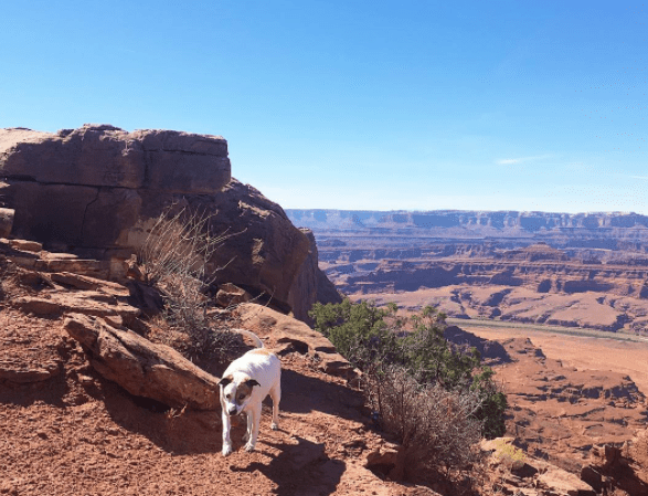 RV life is the best. We've had beautiful views, made great friends, and gone on great adventures. Living in an RV and RV living is something I recommend!