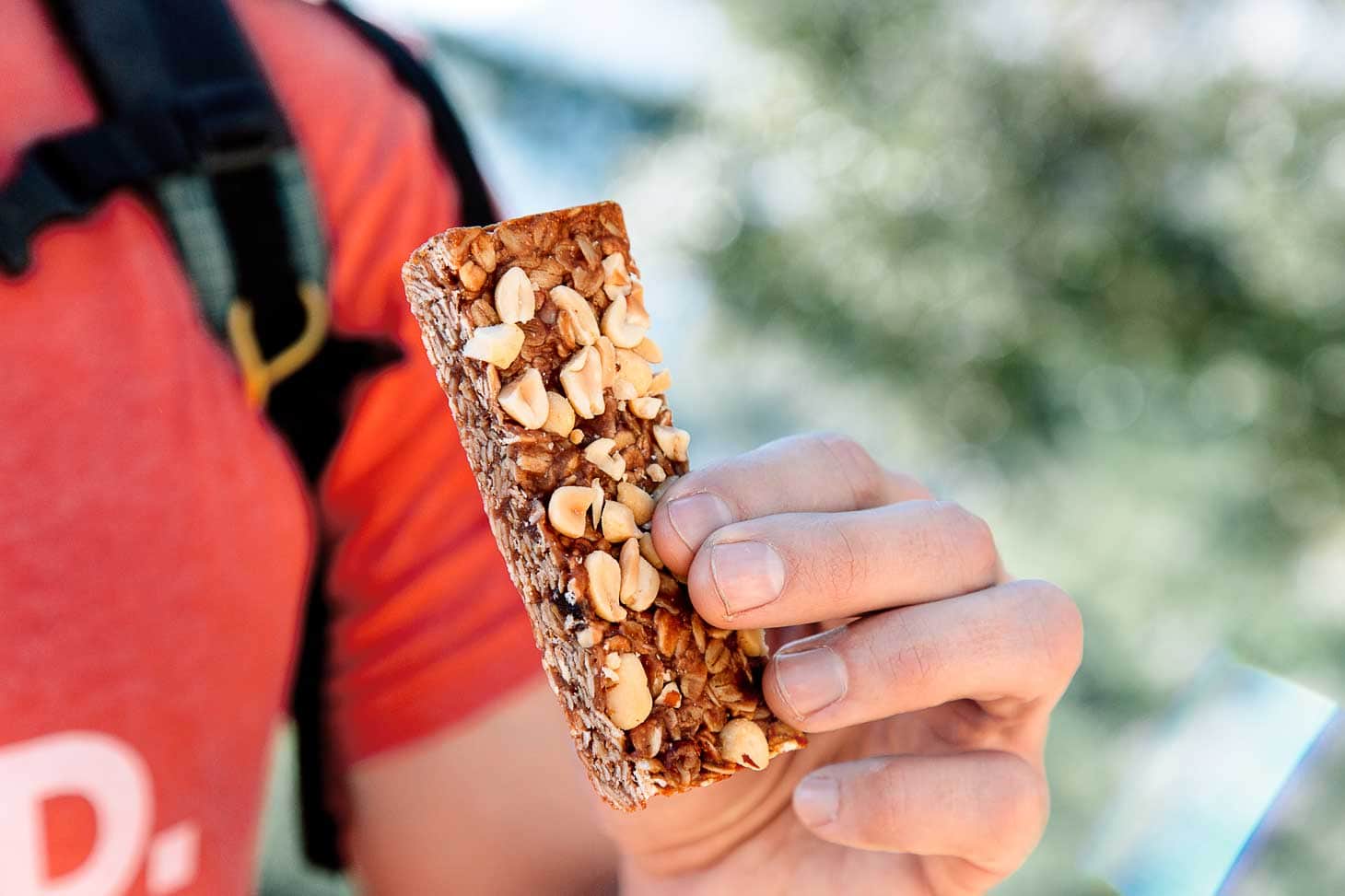 10 Easy Hiking Snacks and Backpacking Food To Make - Peanut Butter Jelly Bar Vegan Glutenfree 2